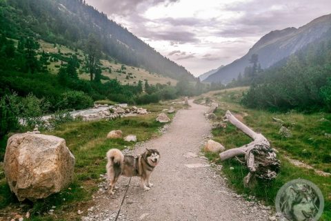 Sommerurlaub 2023: 24072023 Schlegeisspeicher - Zamsereck - Unterschrammabachwasserfall