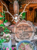 14IMG_20230725_113223-Kopie