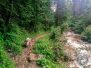 Sommerurlaub 2023: 26072023 Krummbachtal - Krumbachrast