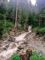 21IMG_20230726_140109-Kopie