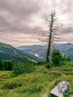 10IMG_20230727_102252-Kopie