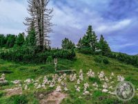 11IMG_20230727_102352-Kopie