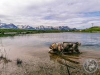 17IMG_20230727_105200-Kopie
