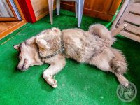 2IMG_20230727_093320-Kopie