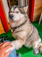 3IMG_20230727_093656-Kopie