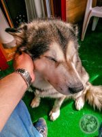 4IMG_20230727_093704-Kopie