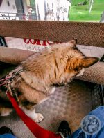5IMG_20230727_095955-Kopie