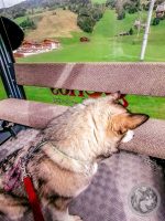 6IMG_20230727_100008-Kopie