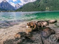 7IMG_20230728_113207-Kopie