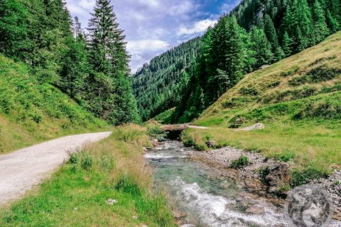 Sommerurlaub 2023: 29072023 Schwarzachtal - Schwarzachalm