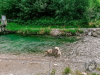 2IMG_20230729_101128-Kopie