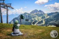 Watermark_11IMG_0272