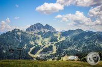 Watermark_12IMG_0273