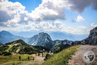 Watermark_13IMG_0274