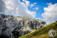 Watermark_14IMG_0275