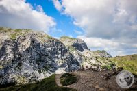 Watermark_25IMG_0281