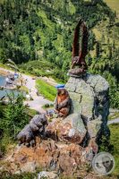 Watermark_41IMG_0297