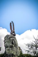 Watermark_47IMG_0303