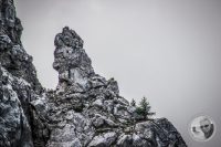 Watermark_56IMG_0314