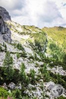 Watermark_57IMG_0315