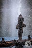 Watermark_60IMG_0318