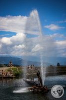 Watermark_61IMG_0319