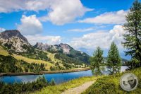 Watermark_65IMG_0321