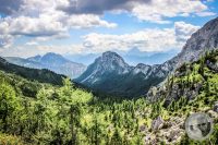 Watermark_67IMG_0323