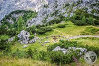 Watermark_76IMG_0331