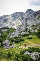 Watermark_77IMG_0332