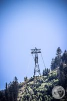 Watermark_100IMG_0982
