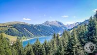 Watermark_106IMG_20260725_153459