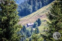 Watermark_112IMG_0992