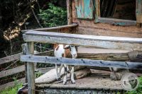 Watermark_114IMG_0994