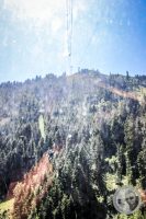 Watermark_14IMG_0887