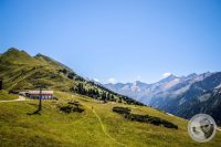 Watermark_27IMG_0904