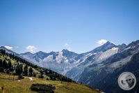 Watermark_28IMG_0905