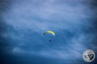 Watermark_2IMG_0872
