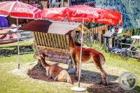 Watermark_30IMG_0907