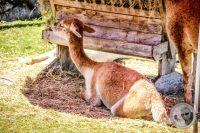 Watermark_31IMG_0908