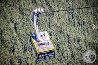 Watermark_41IMG_0920
