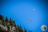 Watermark_4IMG_0874