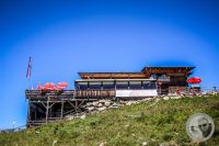 Watermark_50IMG_0930
