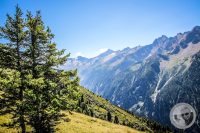 Watermark_57IMG_0937