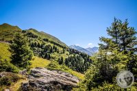 Watermark_62IMG_0942
