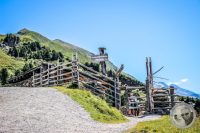 Watermark_65IMG_0945