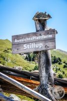 Watermark_66IMG_0946