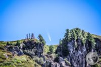Watermark_73IMG_0950