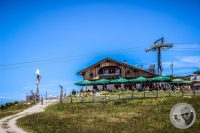 Watermark_78IMG_0954