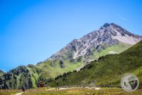 Watermark_79IMG_0955